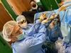 Veterinarian - Gary Kelly at Walsall