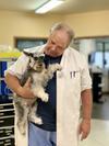 Veterinarian - Michael Newman at Decatur