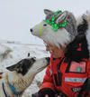 Veterinarian - Kimberly Henneman, DVM, DACVSMR, DABT, FAAVA, CVA, CVC at Park City