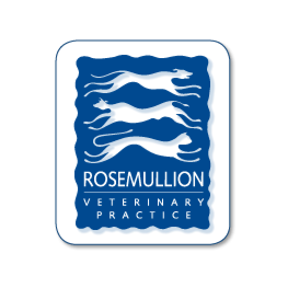 Rosemullion Veterinary Practice Penryn - Penryn , United Kingdom