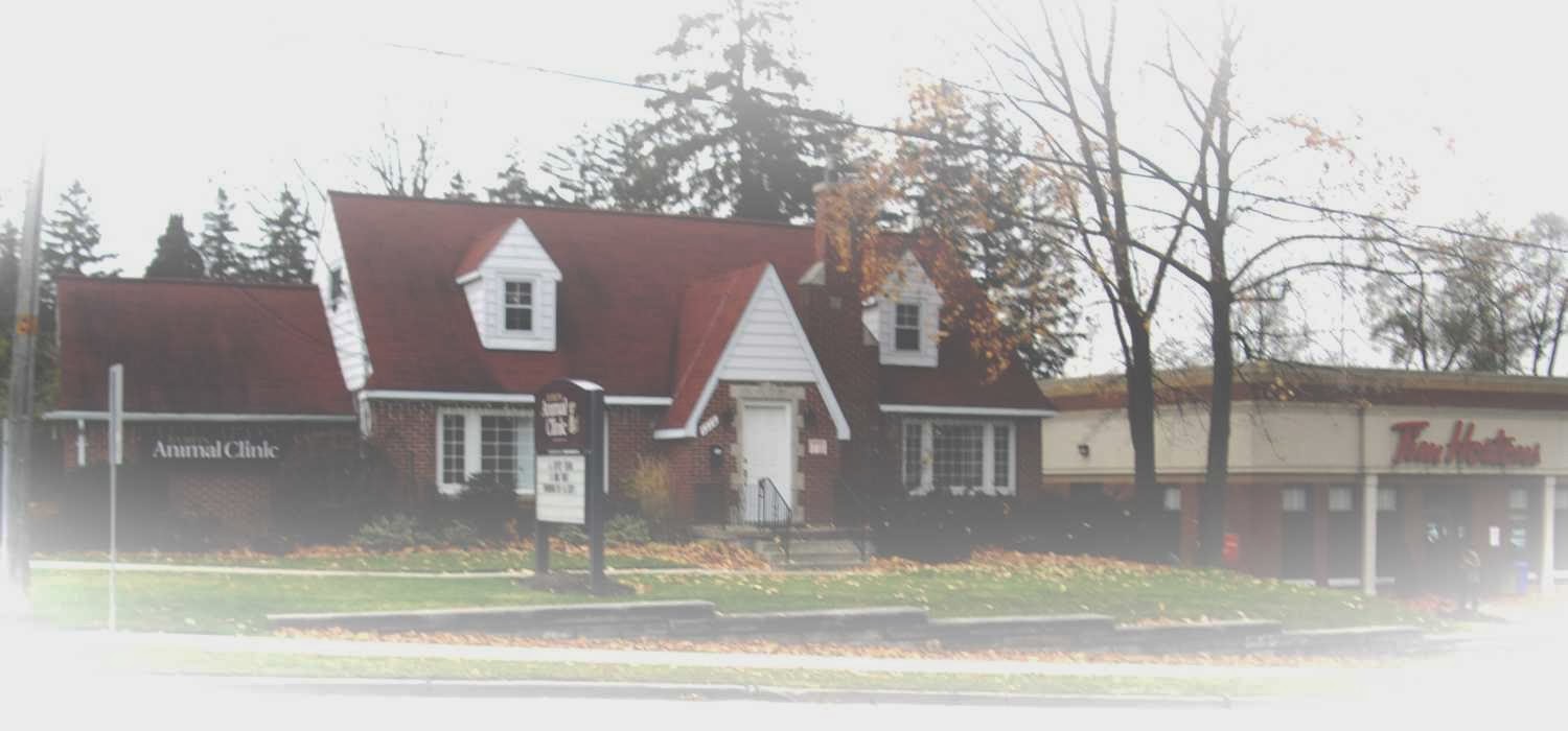 Byron Animal Clinic - London , Canada