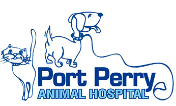 Port Perry Animal Hospital - Port Perry , Canada