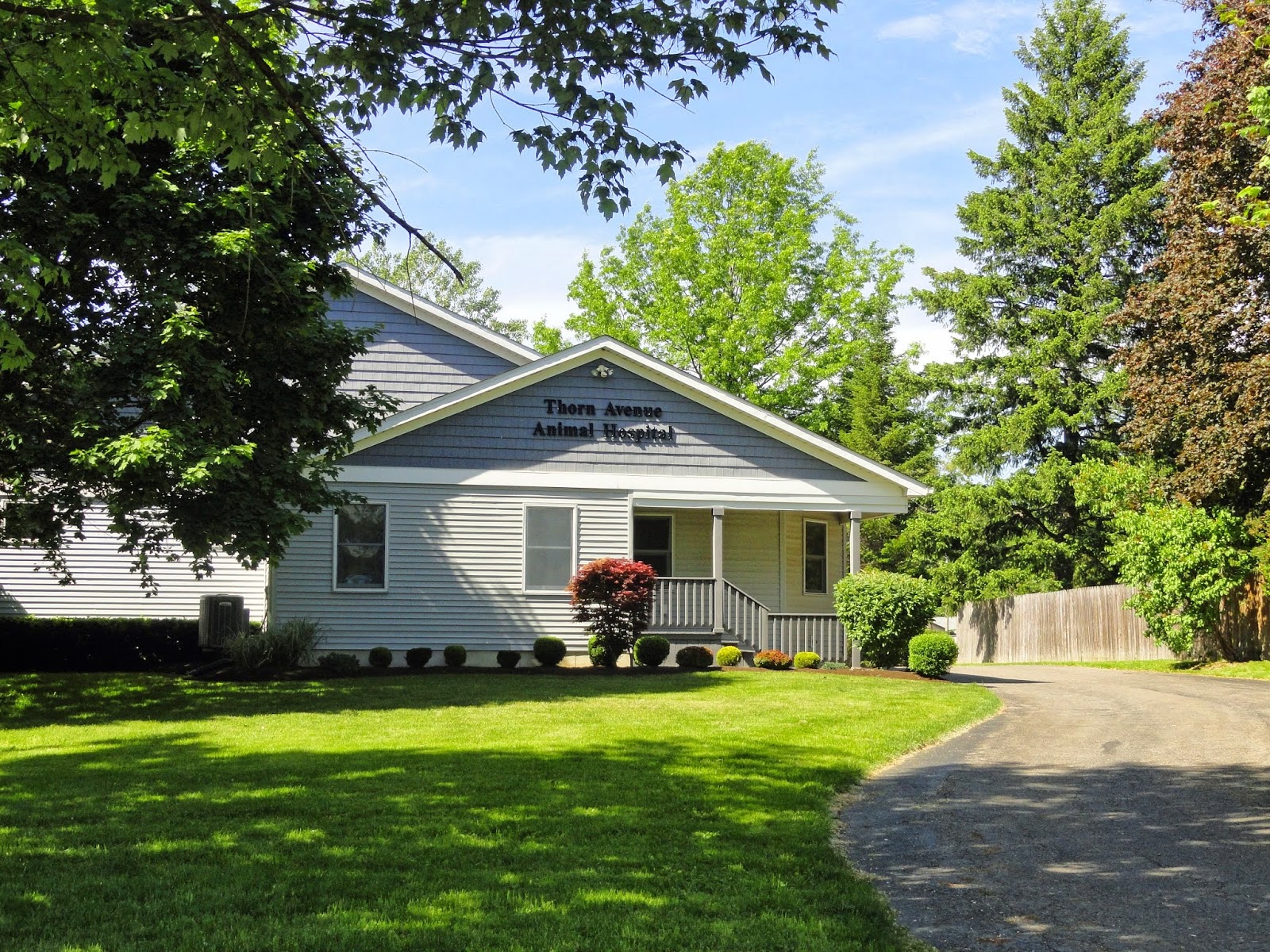 Thorn Avenue Animal Hospital - Orchard Park , United States