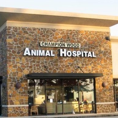 Champion Wood Animal Hospital - Spring , United States
