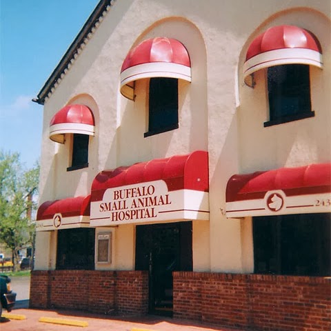 Buffalo Small Animal Hospital - Buffalo , United States