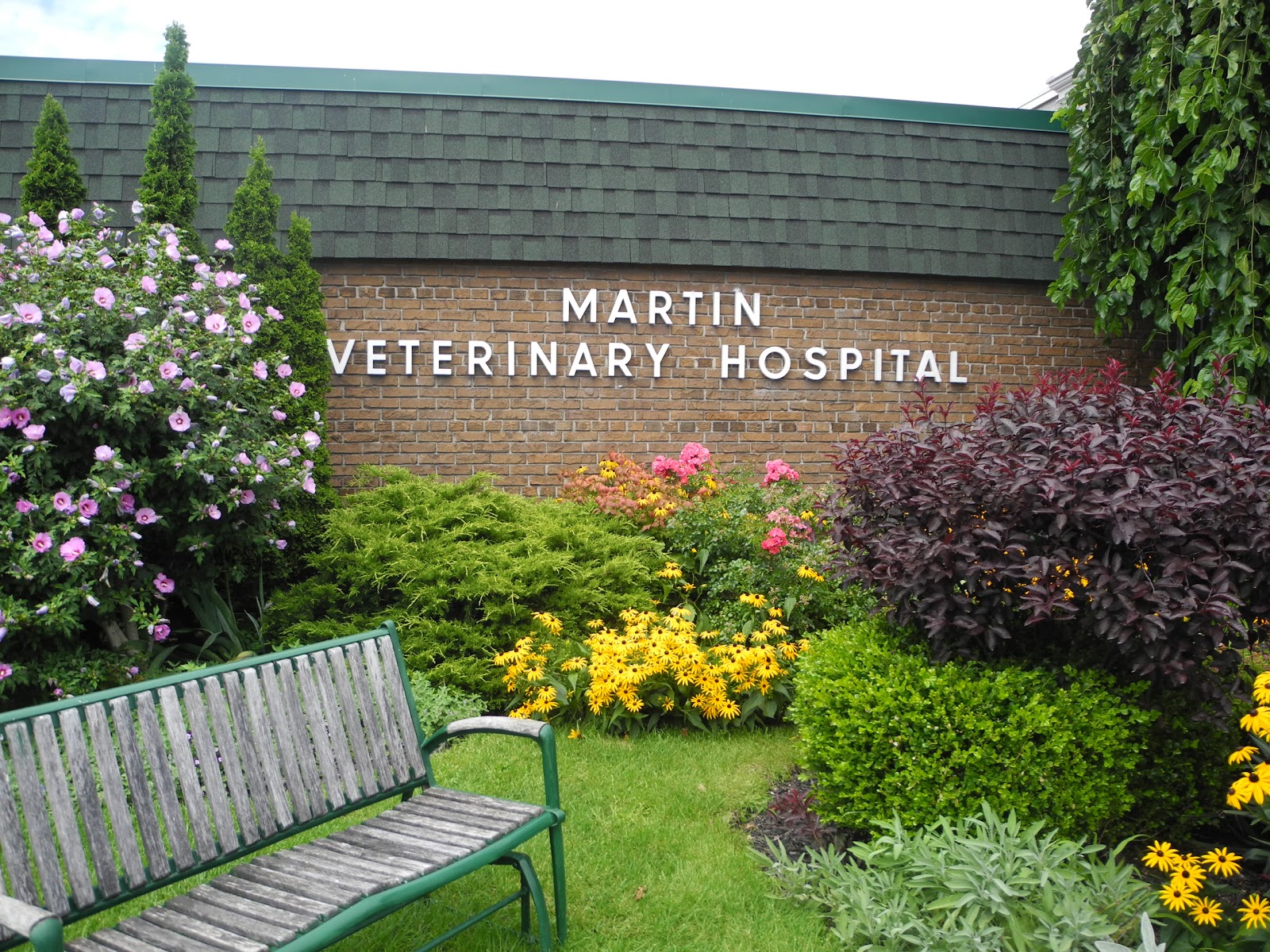 Martin Veterinary Hospital - Etobicoke , Canada