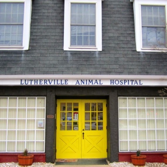 Lutherville Animal Hospital - Timonium , United States