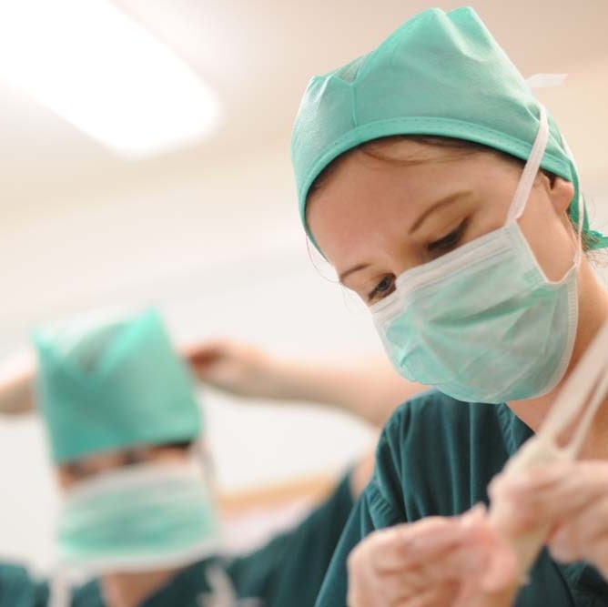 Rhodes Veterinary Surgery - Northampton , United Kingdom