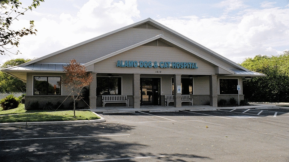 Alamo Dog And Cat Hospital - San Antonio , United States