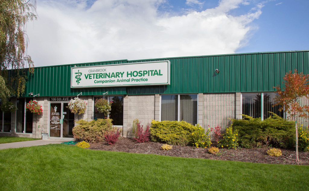 Cranbrook Veterinary Hospital - Cranbrook , Canada