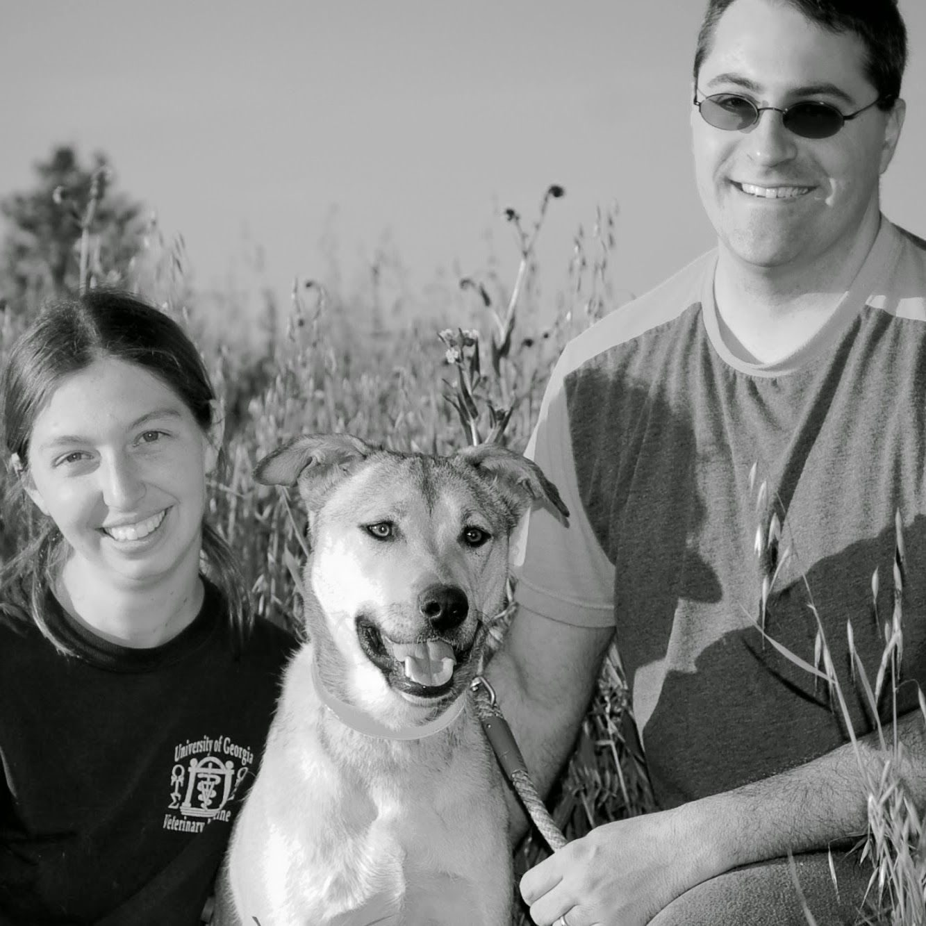 Home Pet Acupuncture - Colton , United States