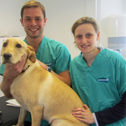 Natures Veterinary Clinic - Paulton , United Kingdom