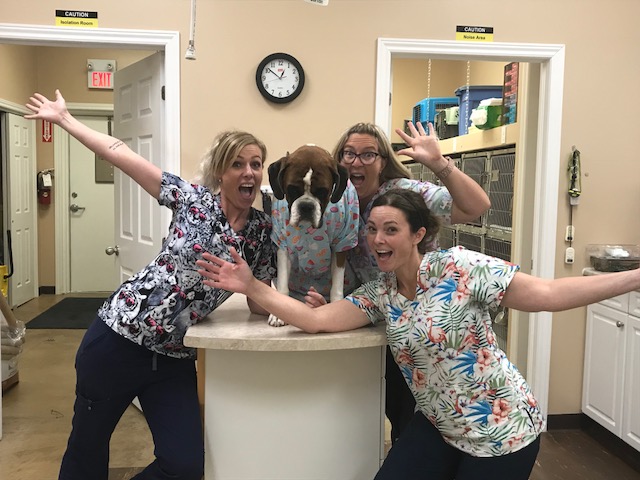 Dufferin Veterinary Hospital - Orangeville , Canada