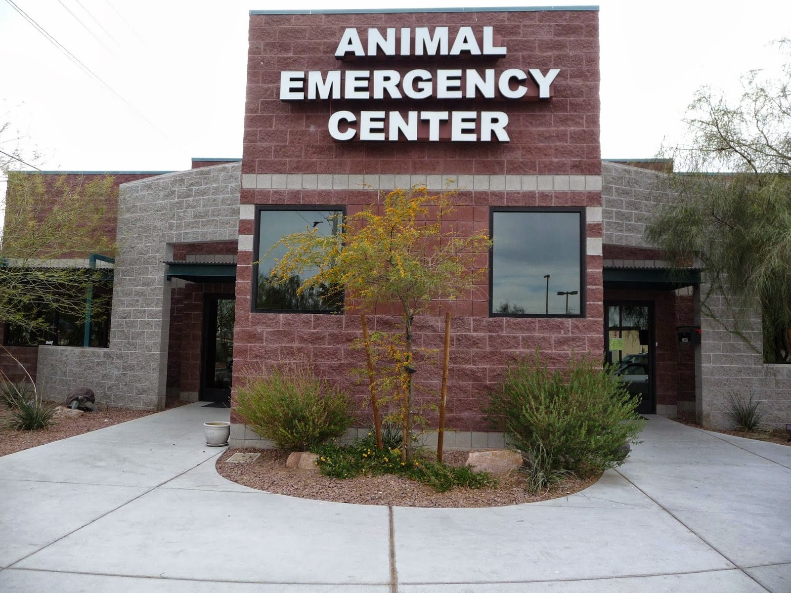 Animal Emergency Center Of Las Vegas And Henderson - Las Vegas , United States