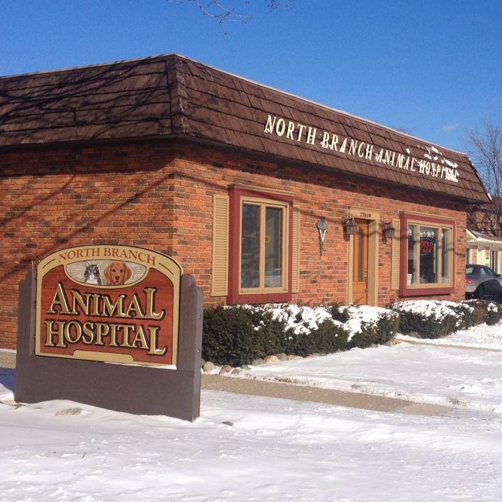 North Branch Animal Hospital - Southfield , United States