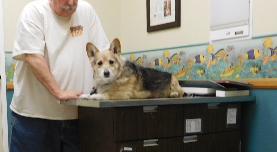 Pacific Pet Hospital - Chula Vista , United States