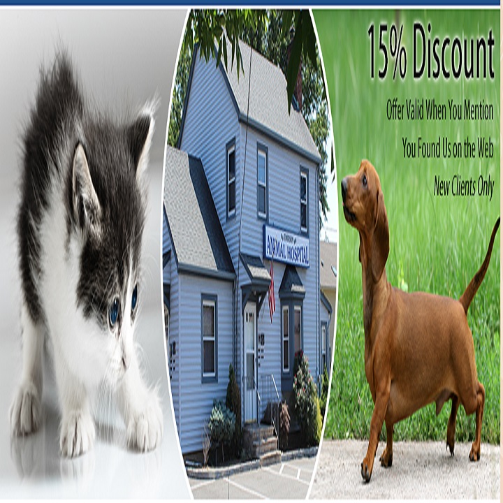 Emerson Animal Hospital - Emerson , United States