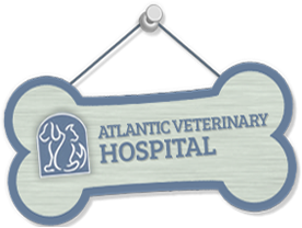 Atlantic Veterinary Hospital - Rothesay , Canada