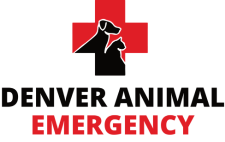 Denver Animal Emergency - Denver , United States