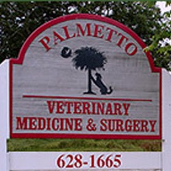 Palmetto Veterinary Medicine And Surgery - McConnells , United States
