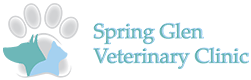 Spring Glen Veterinary Clinic - Hamden , United States