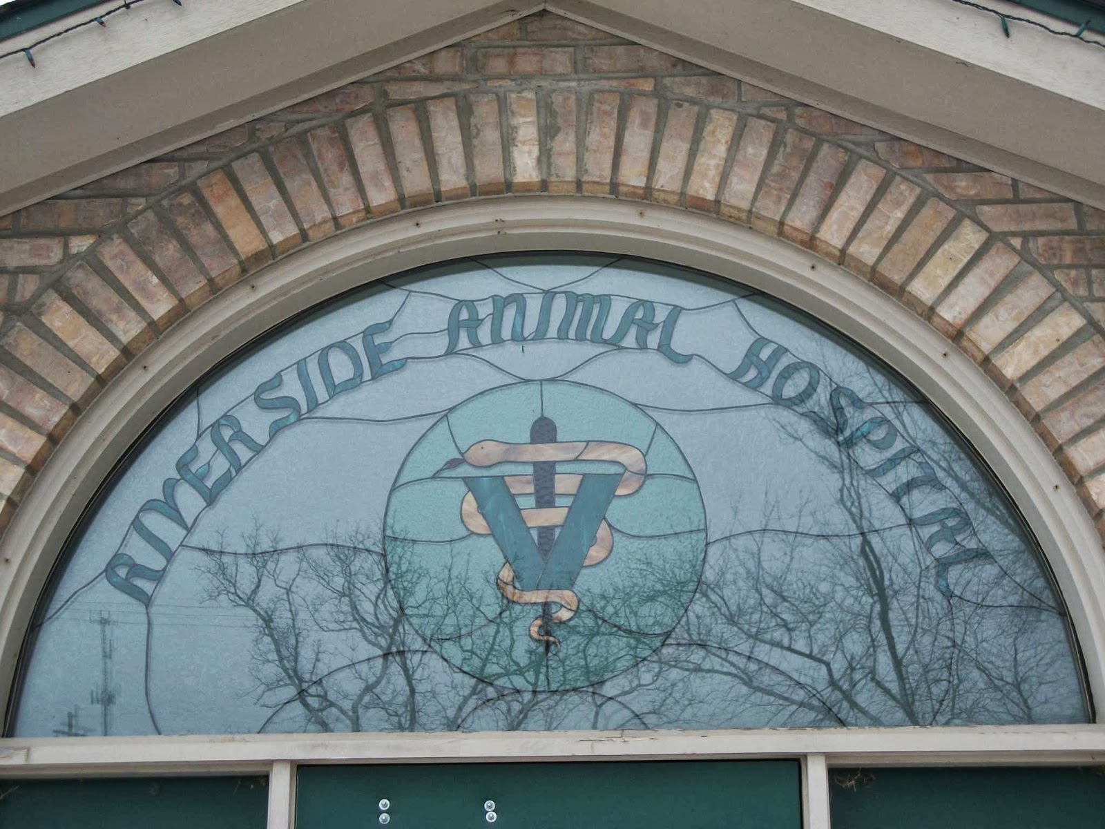 Riverside Animal Hospital - Flushing , United States
