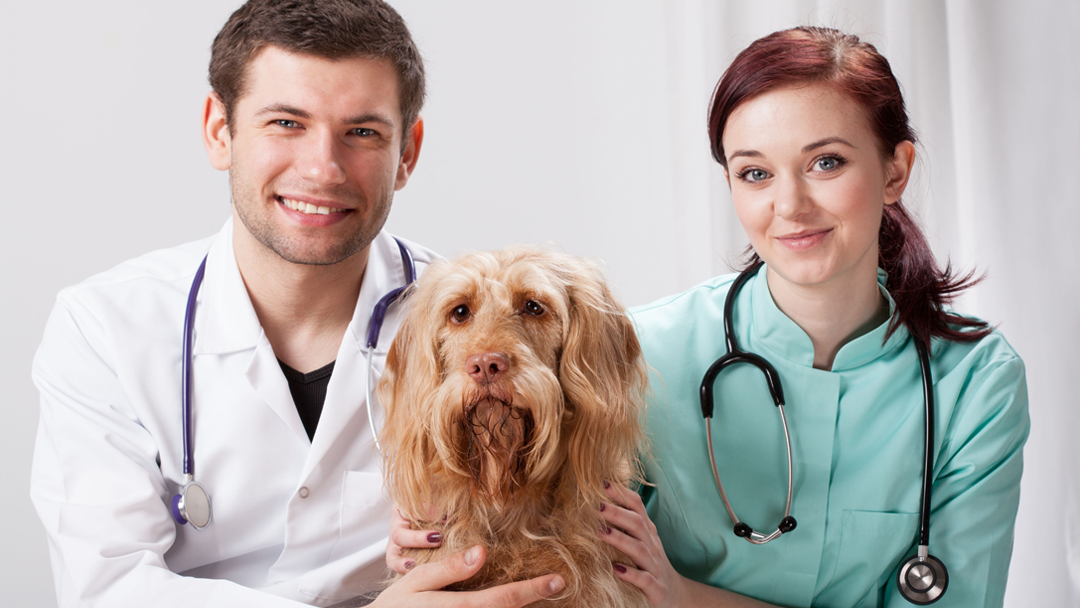 Citronelle Veterinary Clinic - Citronelle , United States