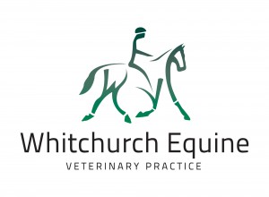 The Whitchurch Equine Veterinary Practice - Whitchurch , United Kingdom