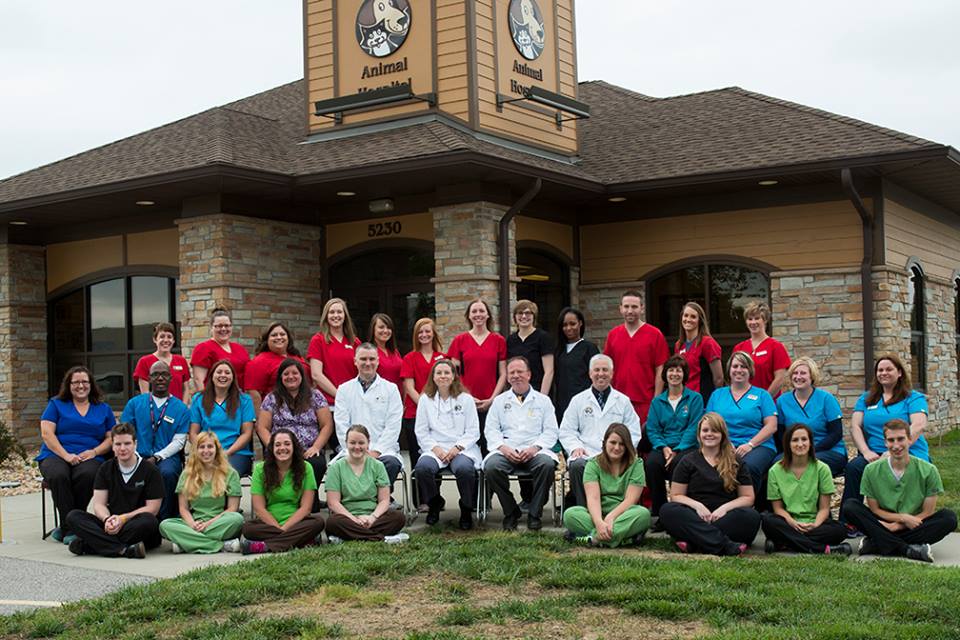 Horseshoe Lake Animal Hospital A Thrive Pet Healthcare Partner - Collinsville , United States