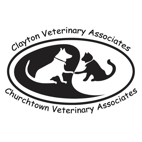 Churchtown Veterinary Associates - Pennsville , United States