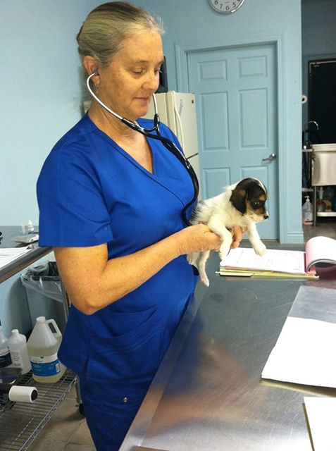 Spay Spa - Port Allen , United States