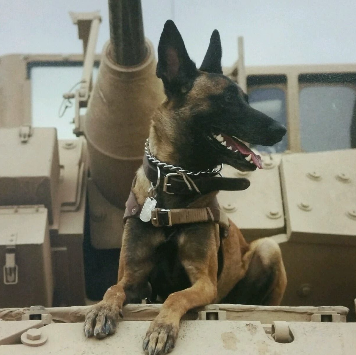 Fort Campbell Veterinary Center - Clarksville , United States