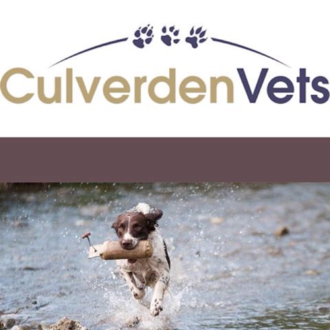 Beechview Veterinary Surgery - Crowborough , United Kingdom