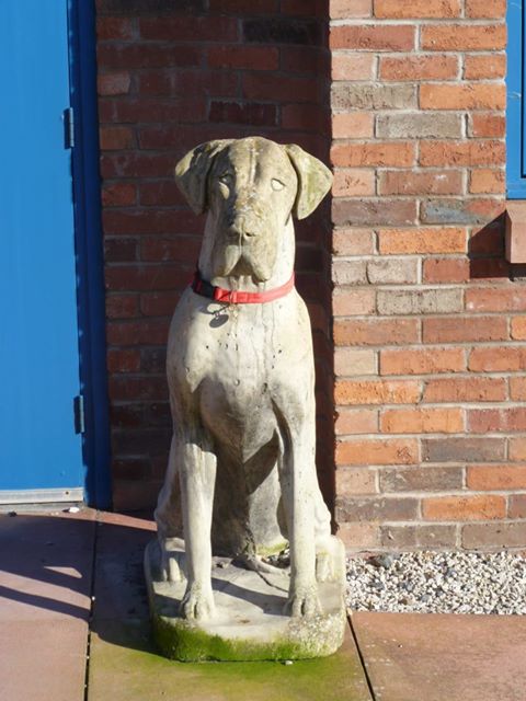 The Green Veterinary Surgery - Penrith , United Kingdom