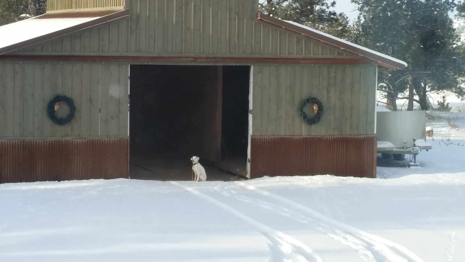 Beartooth Veterinary Services - Laurel , United States