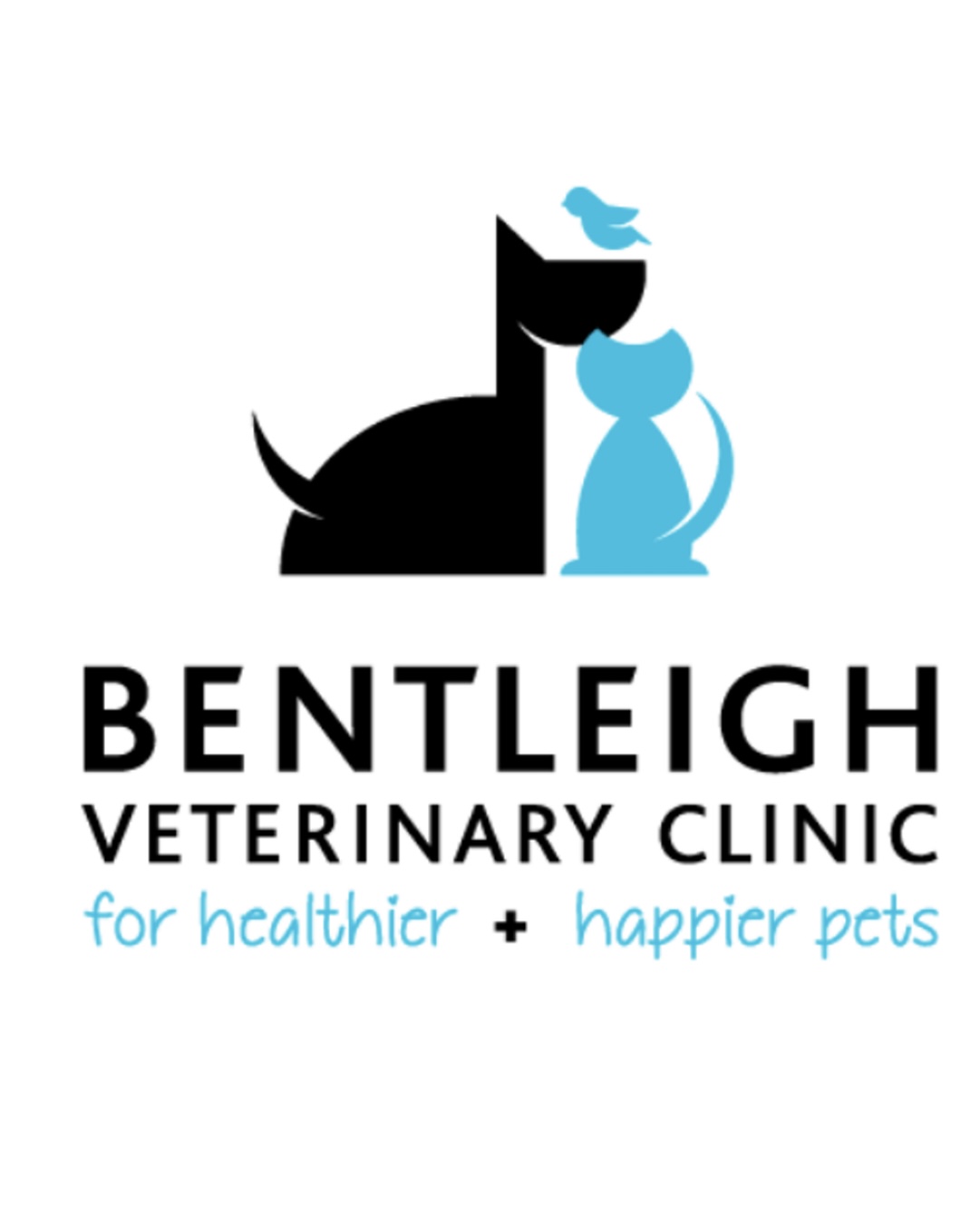 Bentleigh Veterinary Clinic - Bentleigh , Australia