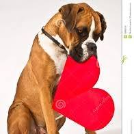 Blooming Prairie Veterinary Clinic - Blooming Prairie , United States