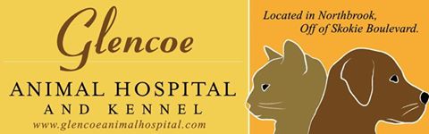 Glencoe Animal Hospital - Northbrook , United States