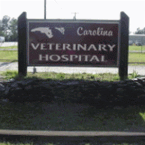 Carolina Veterinary Hospital Of Sanford Pc - Sanford , United States