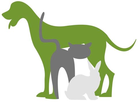 Toorak Rd Veterinary Clinic - Camberwell , Australia