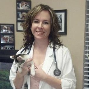 Best Care Animal Hospital - New Port Richey , United States