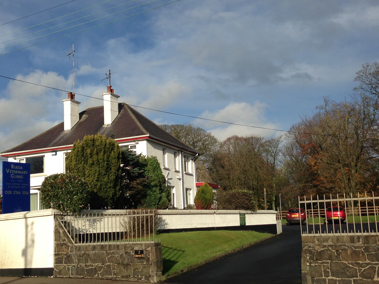 Riada Veterinary Clinic - Ballymoney , United Kingdom