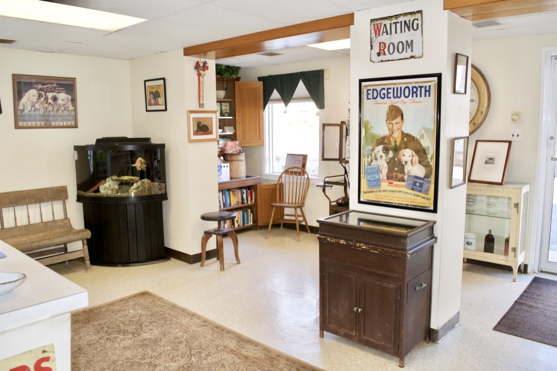 Paoli Vetcare | Main Line Vet And Animal Hospital - Paoli , United States