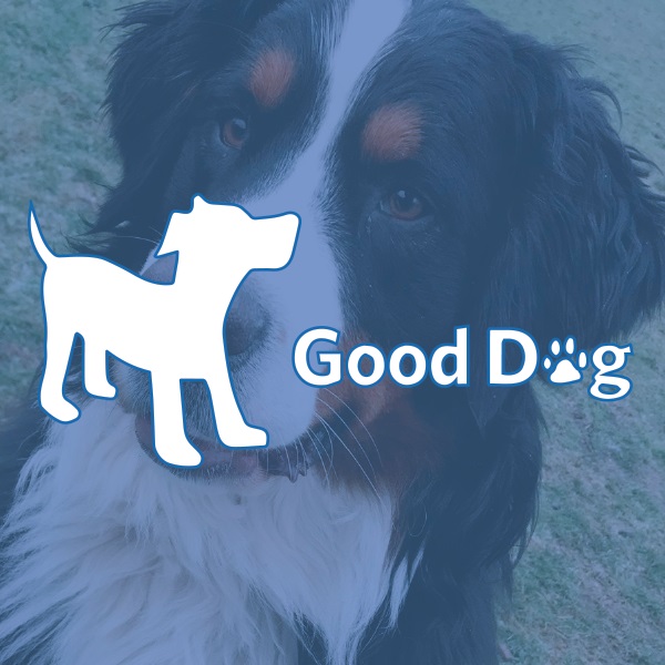 Good Dog Rocky Point - Port Moody , Canada