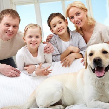 Oak Tree Animal Hospital - Tampa , United States