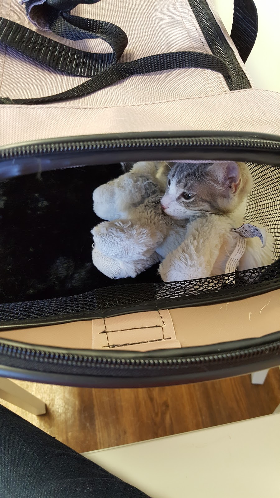 Emancipet - Killeen , United States