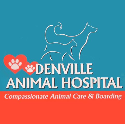 Denville Animal Hospital - Denville , United States