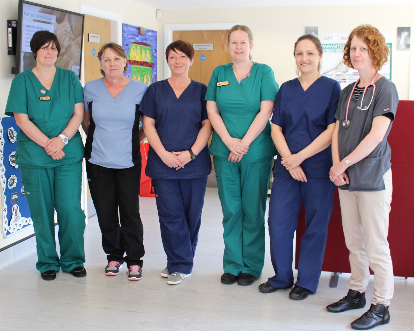 Willows Veterinary Group Winsford Veterinary Surgery - Winsford , United Kingdom