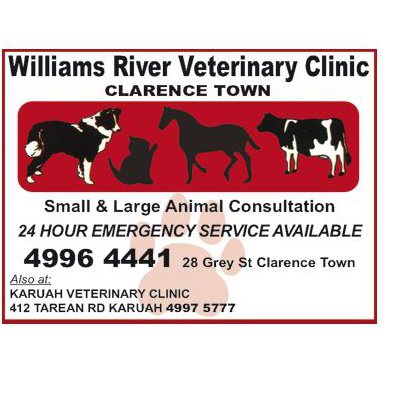 Williams River Veterinary Clinic - Clarence Town , Australia