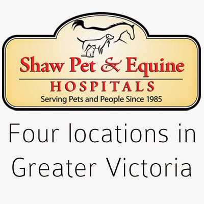 Vca Canada Burnside Animal Hospital - Victoria , Canada